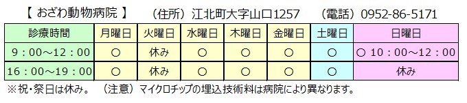 おざわ動物病院