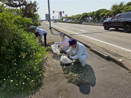 写真