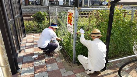 写真