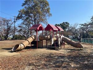 公園内遊具1